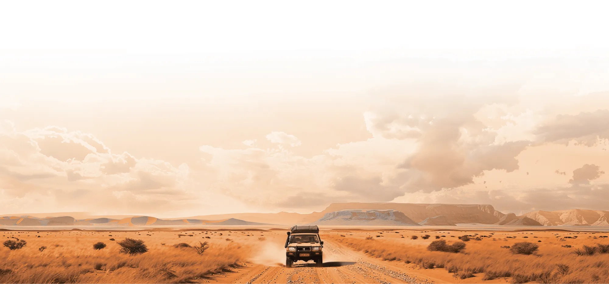 image footer