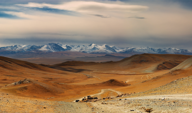 Panorama des steppes mongoles avec les montagnes en arrière-plan