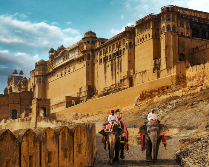 Éléphants décorés transportant des visiteurs vers l’Amber Fort à Jaipur, Rajasthan